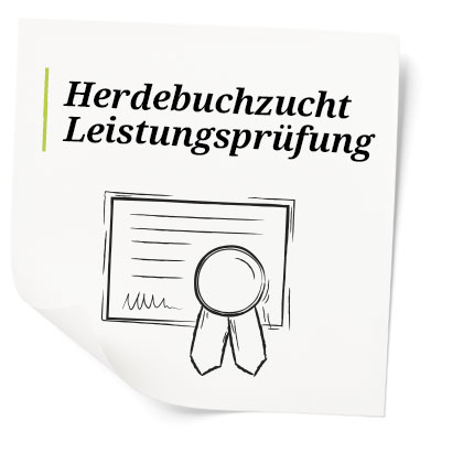 Herdebuchzucht und Leistungsprüfung