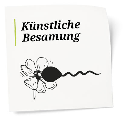 Künstliche Besamung