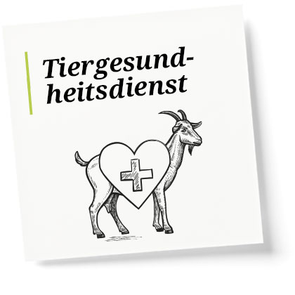 Tiergesundheitsdienst