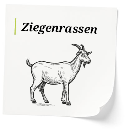 Ziegenrassen